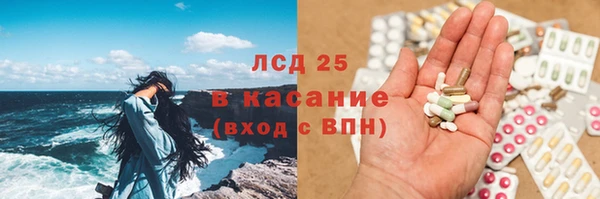 ПСИЛОЦИБИНОВЫЕ ГРИБЫ Новодвинск