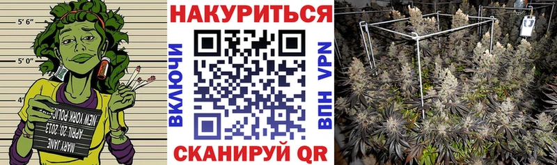 Купить закладки  Ковылкино  Шишки марихуана SATIVA & INDICA 